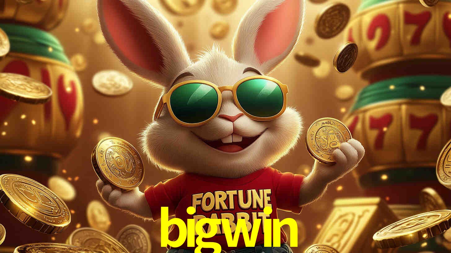 bigwin vip